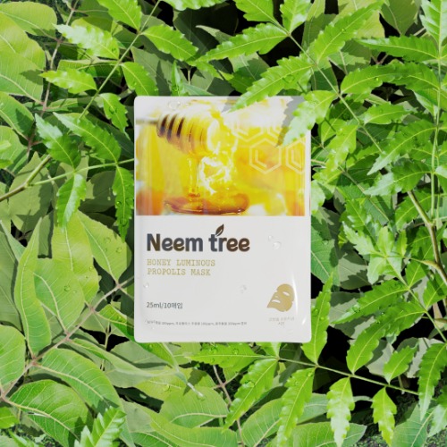 Diacube, [30 % 할인] 님트리 꿀광 로얄 프로폴리스 마스크(Neem Tree Honey Luminous Royal Propolis Mask)10매